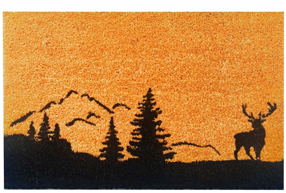 Relaxdays Kokoso pluošto durų kilimėlis su motyvu, 60x40 cm