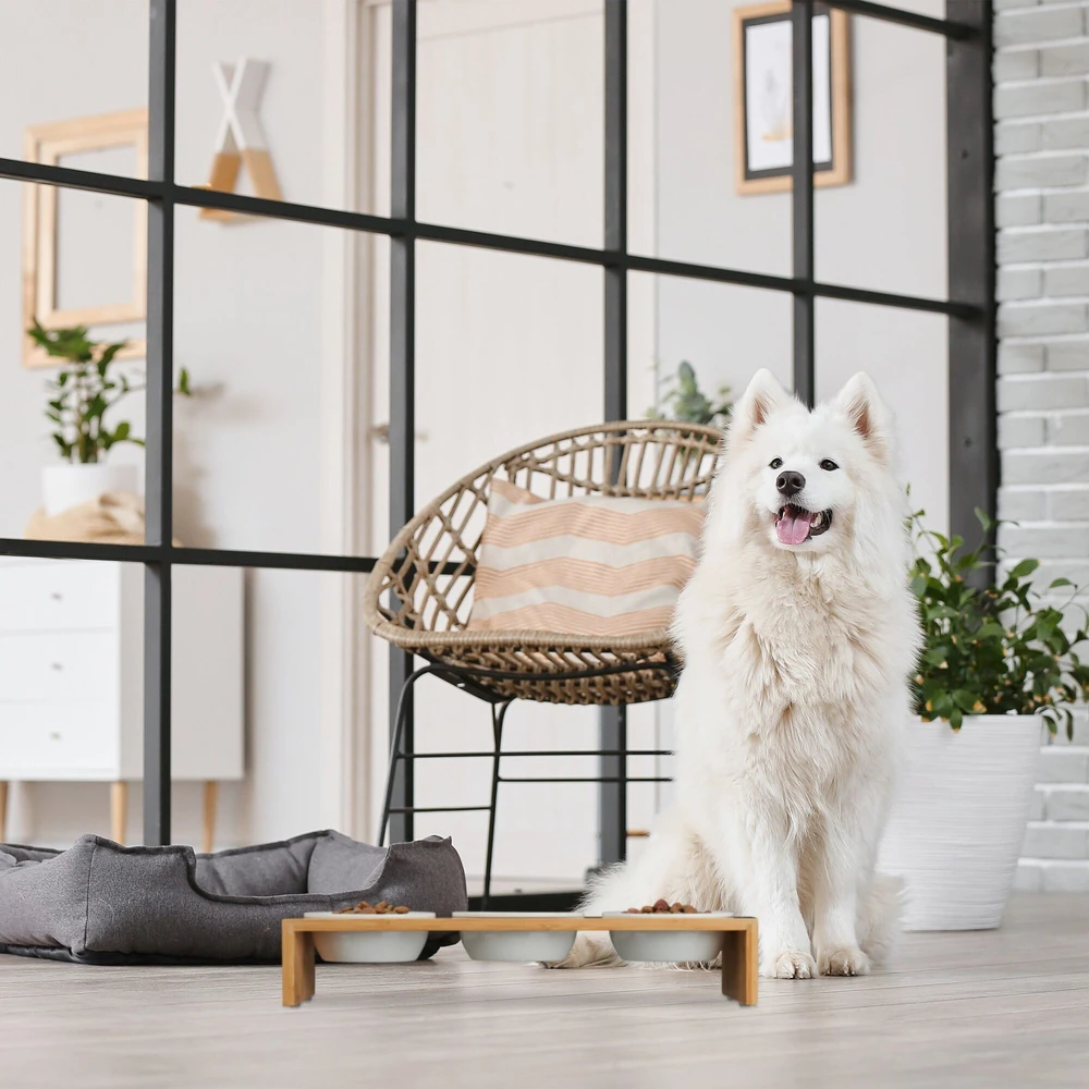 Relaxdays Gyvūnų šėrimo stotelė su dubenėliais