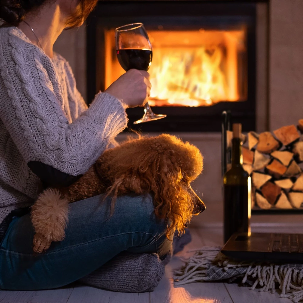 Relaxdays Malkų vežimėlis su malkų krepšiu