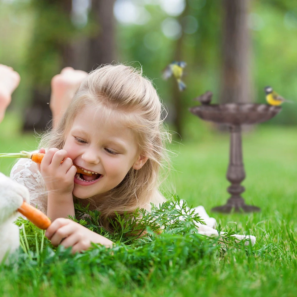 Relaxdays Laisvai pastatoma ketaus paukščių maudyklė