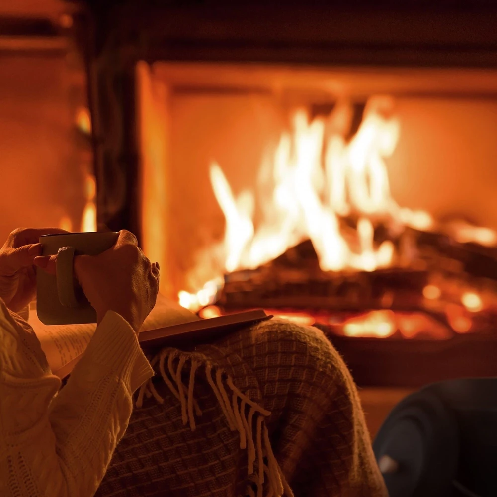 Relaxdays Juodas pelenų kibiras su dangčiu