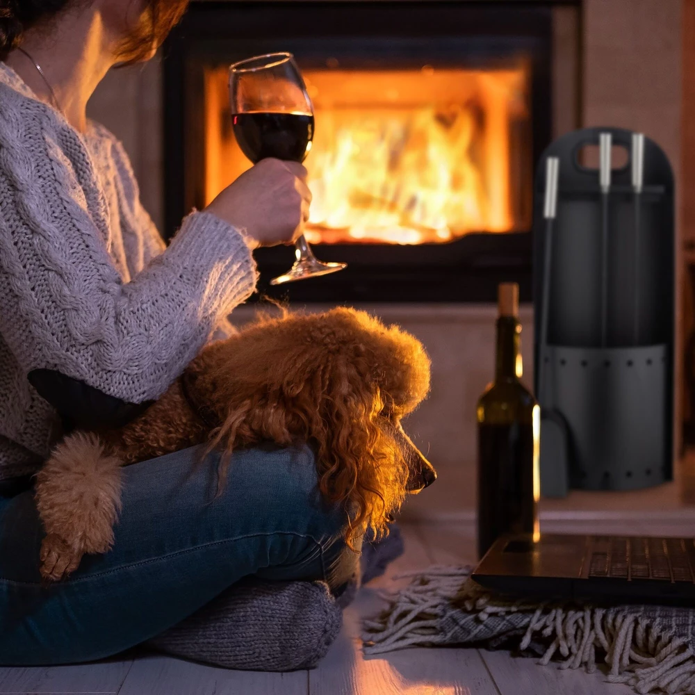 Relaxdays 4 dalių modernus židinio rinkinys