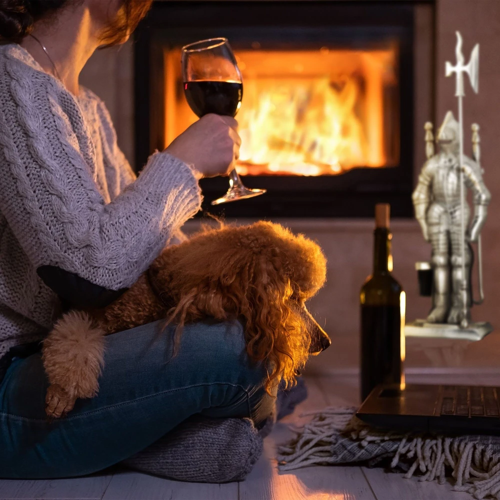 Relaxdays 4 dalių židinio įrankių rinkinys Riteris