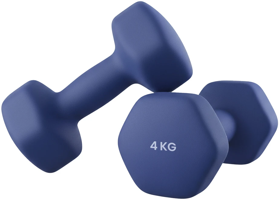 Songmics Svarmenų rinkinys 2x4 kg mėlynos spalvos