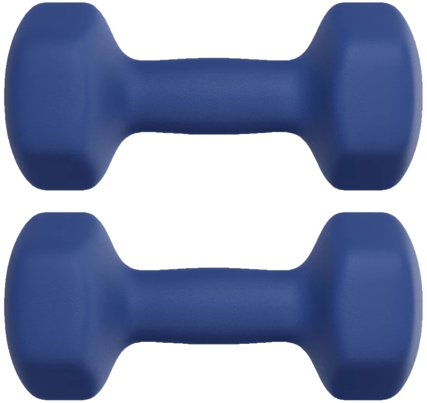Songmics Svarmenų rinkinys 2x4 kg mėlynos spalvos