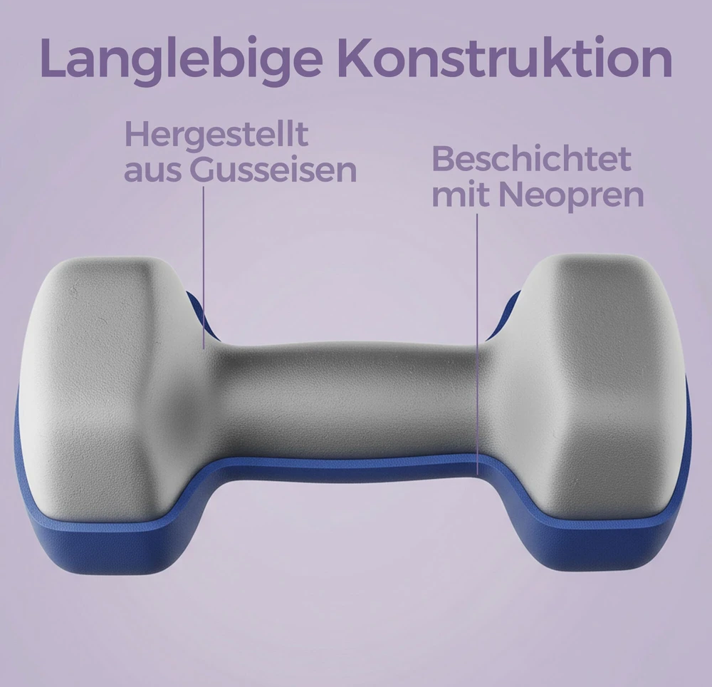 Songmics Svarmenų rinkinys 2x4 kg mėlynos spalvos