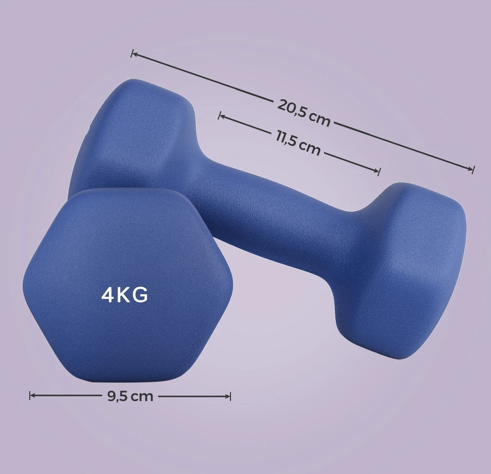 Songmics Svarmenų rinkinys 2x4 kg mėlynos spalvos