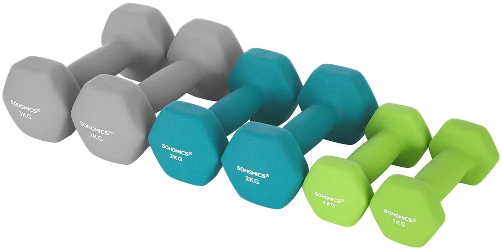 Songmics Hantel-Set 1, 2, 3kg Grau-Grün