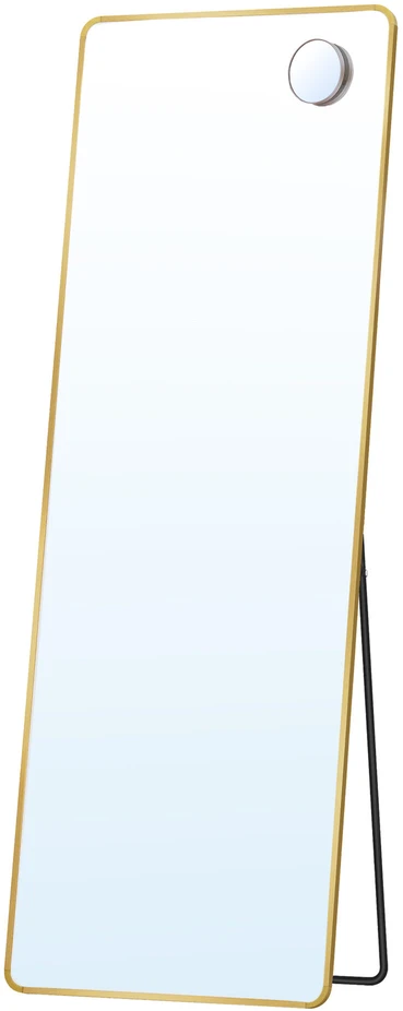 Songmics Veidrodis 160x50 cm