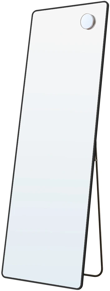Songmics Veidrodis 150x40 cm juodos spalvos