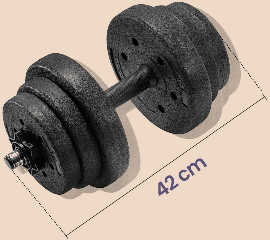 Songmics Svarmenų rinkinys, 2 x 10 kg, 2,5x50,5 cm, juodas