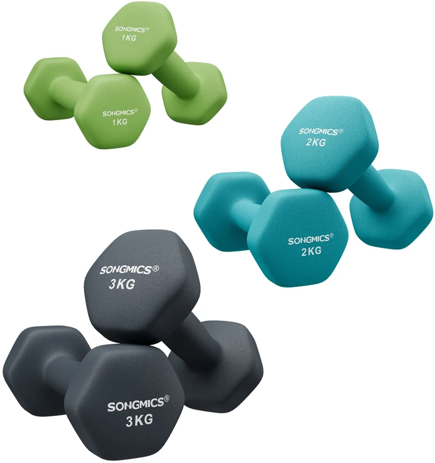 Songmics Svarmenų rinkinys, 2x1 kg 2x2 kg 2x3 kg, Šviesiai žalia Akvamarino mėlyna