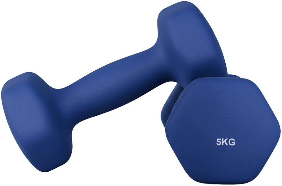 SONGMICS hanteliai, 2 vnt. rinkinys, 2 x 5kg