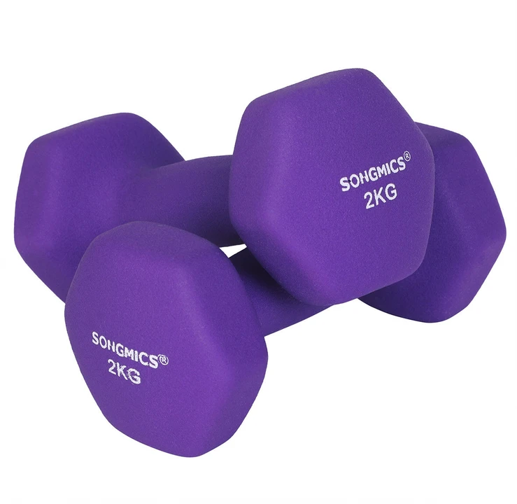 Songmics Hantelių rinkinys 2 x 2kg violetinės spalvos