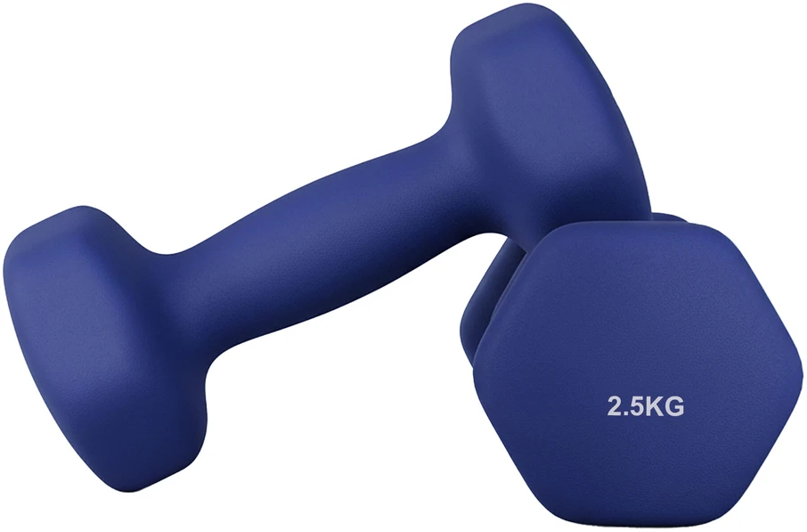 Songmics Svarmenys, 2,5kg, Juoda
