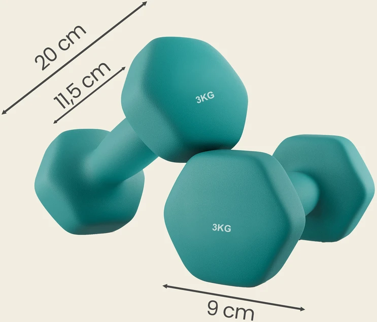 SONGMICS hanteliai, 2 vnt. rinkinys, 2 x 3kg