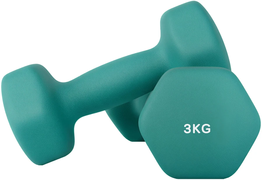SONGMICS hanteliai, 2 vnt. rinkinys, 2 x 3kg