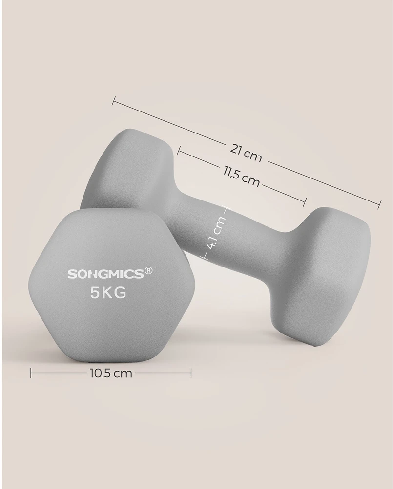 Songmics 2 pilkos spalvos hantelių rinkinys