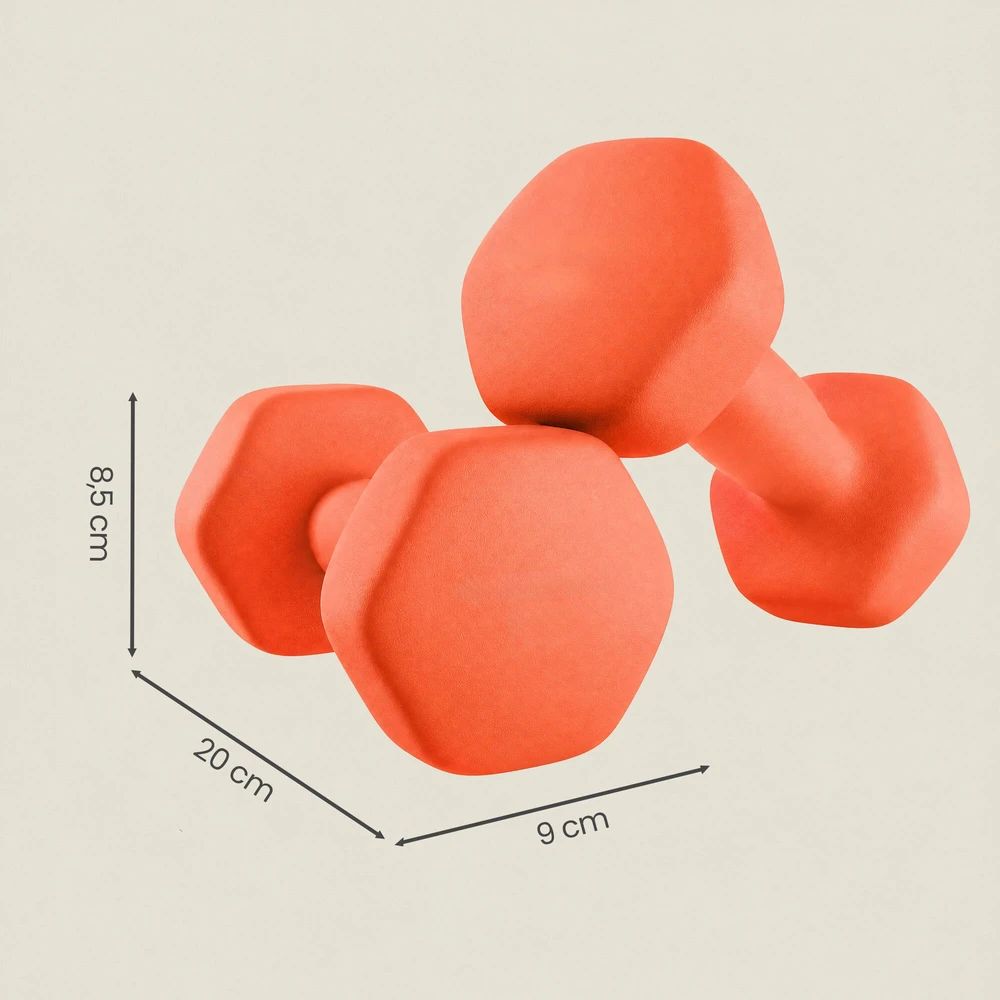 SONGMICS hanteliai, 2 vnt. rinkinys, 2 x 3kg