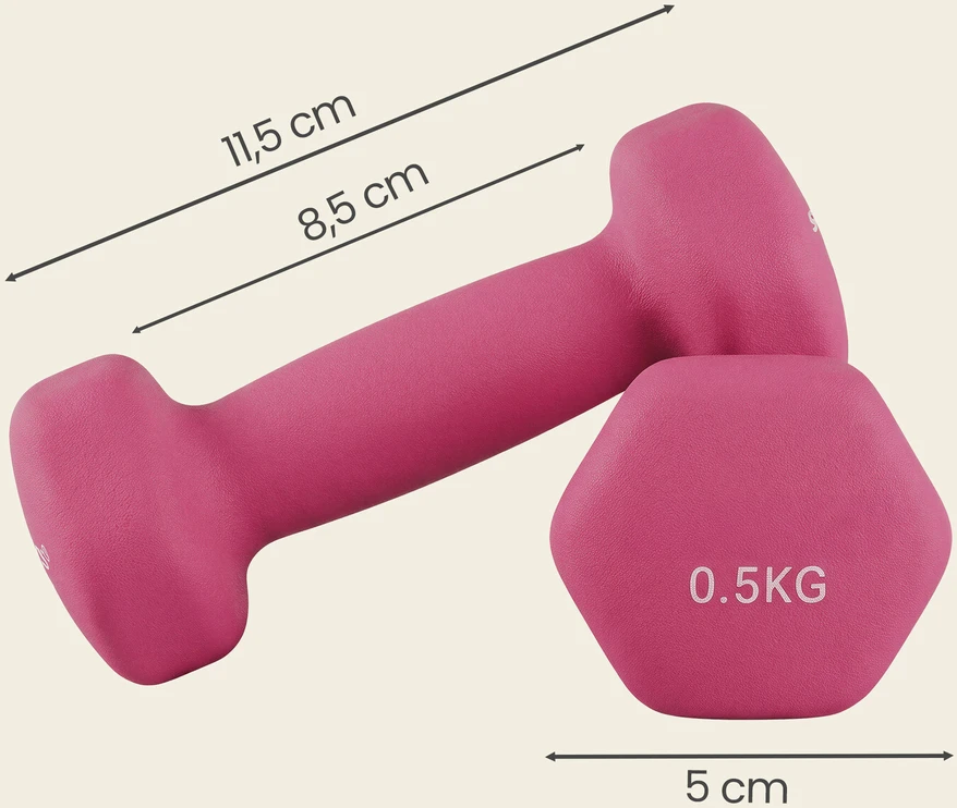 Songmics Hanteliai 2 x 0,5kg