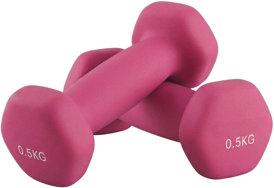 Songmics Hanteliai 2 x 0,5kg