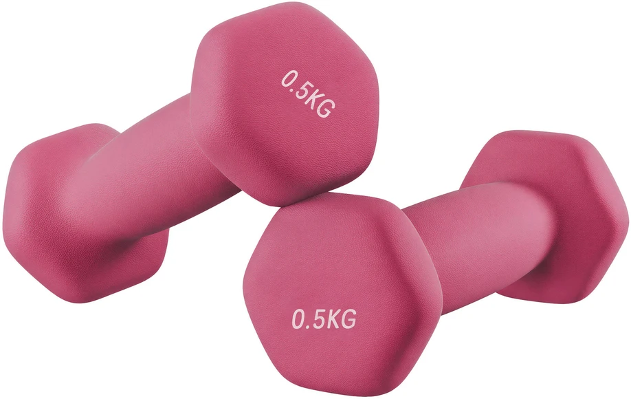 Songmics Hanteliai 2 x 0,5kg