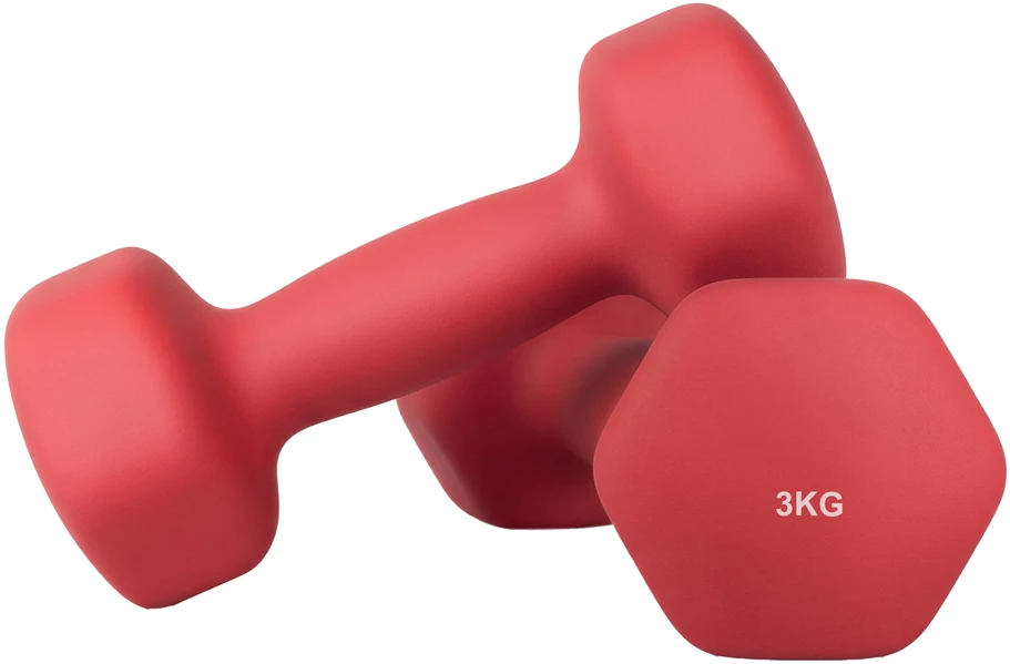SONGMICS hanteliai, 2 vnt. rinkinys, 2 x 3kg