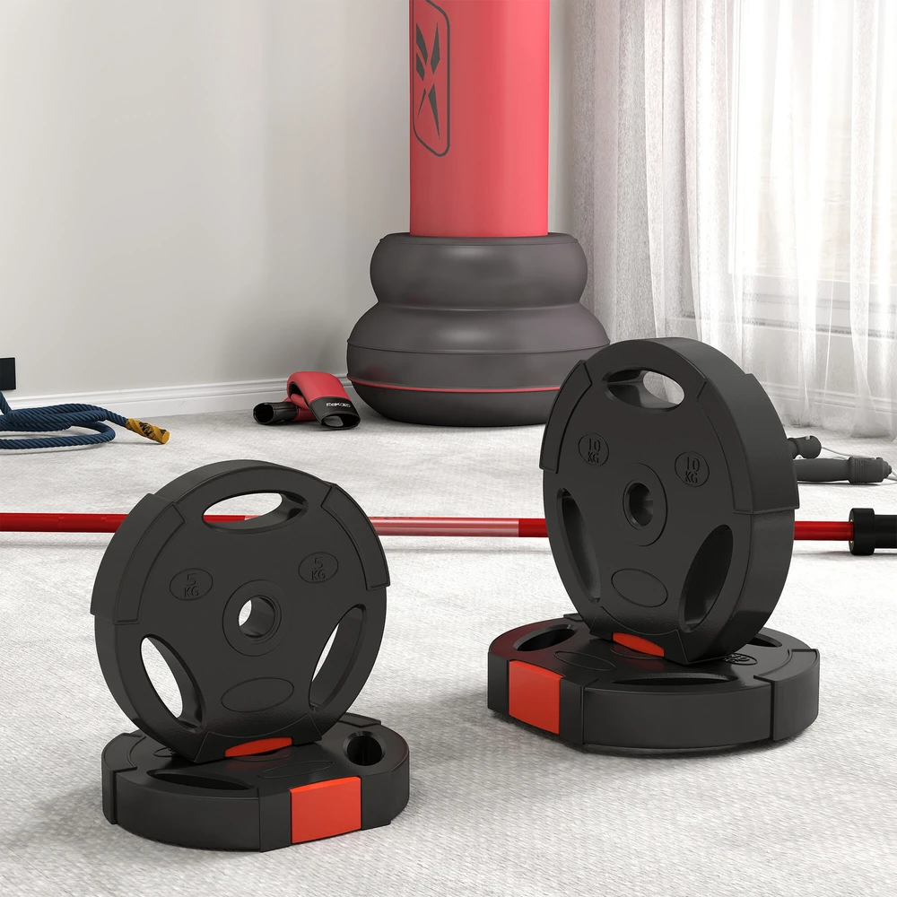 SPORTNOW 4 dalių svorių rinkinys, 2 x 5kg / 10 kg svoriai, svorių diskų rinkinys, svorių diskai 2,5 cm skersmens štangai, Ø 30 mm skylė, juodi