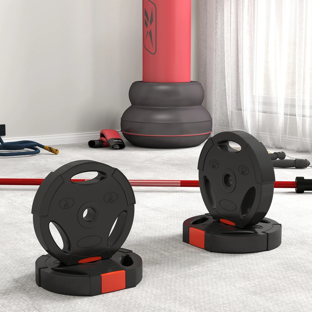 SPORTNOW 4 dalių hantelių svorių rinkinys, 2 x 5kg/7,5kg svoriai, hantelių diskų rinkinys, svorių diskai 2,5 cm hantelių strypui, Ø 30 mm anga, juodi
