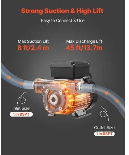 VEVOR Alyvos pernešimo siurblys 230V, 60 L/min