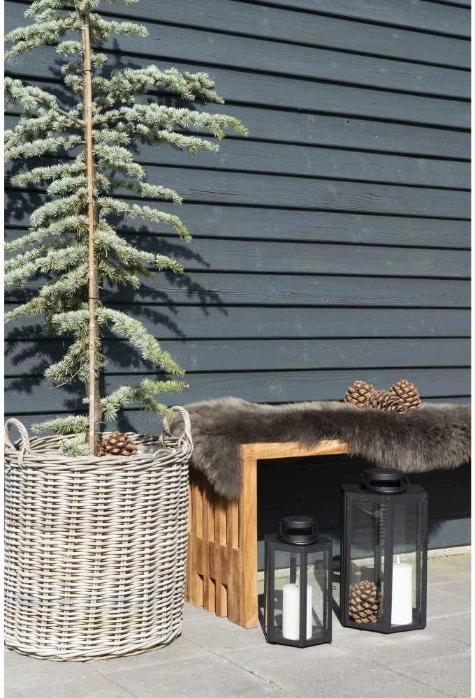House Suolas, Benidormas, 90x30x49 cm, Tėvmedis