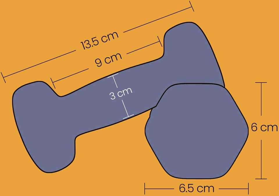 SONGMICS hanteliai, 2 vnt. rinkinys, 2 x 5kg