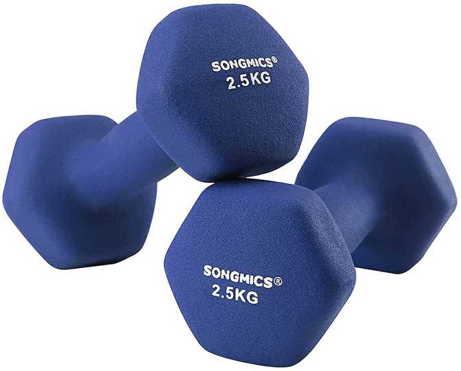 Songmics 2 hantelių rinkinys