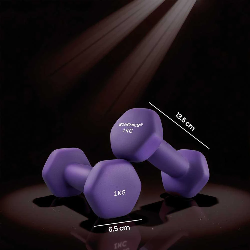 SONGMICS hanteliai, 2 vnt. rinkinys, 2 x 1kg