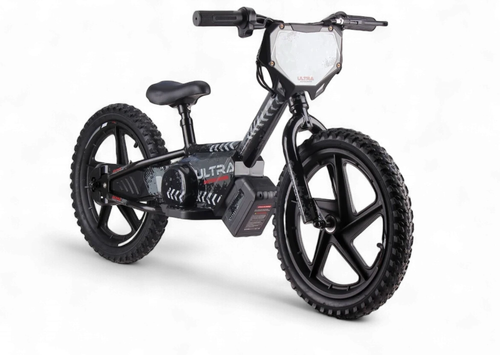 Toycars Elektrinis balansinis dviratis, 24V 250W, 16 colių, Juodas