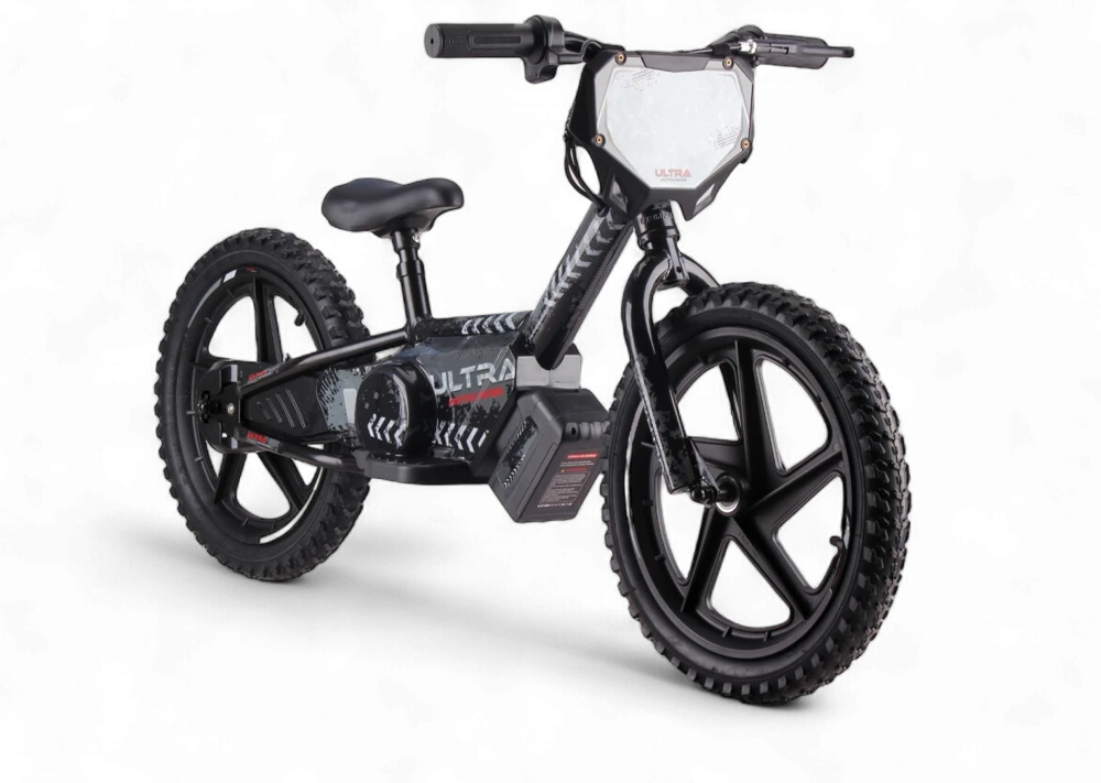 Toycars Elektrinis balansinis dviratis, 24V 250W, 16 colių, Juodas