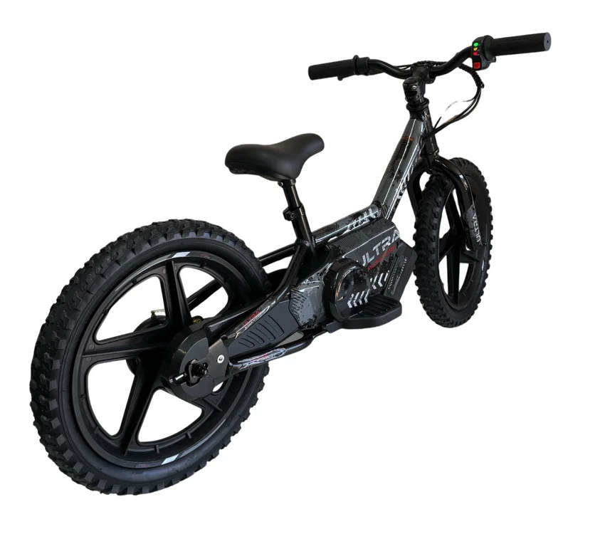 Toycars Elektrinis balansinis dviratis, 24V 250W, 16 colių, Juodas