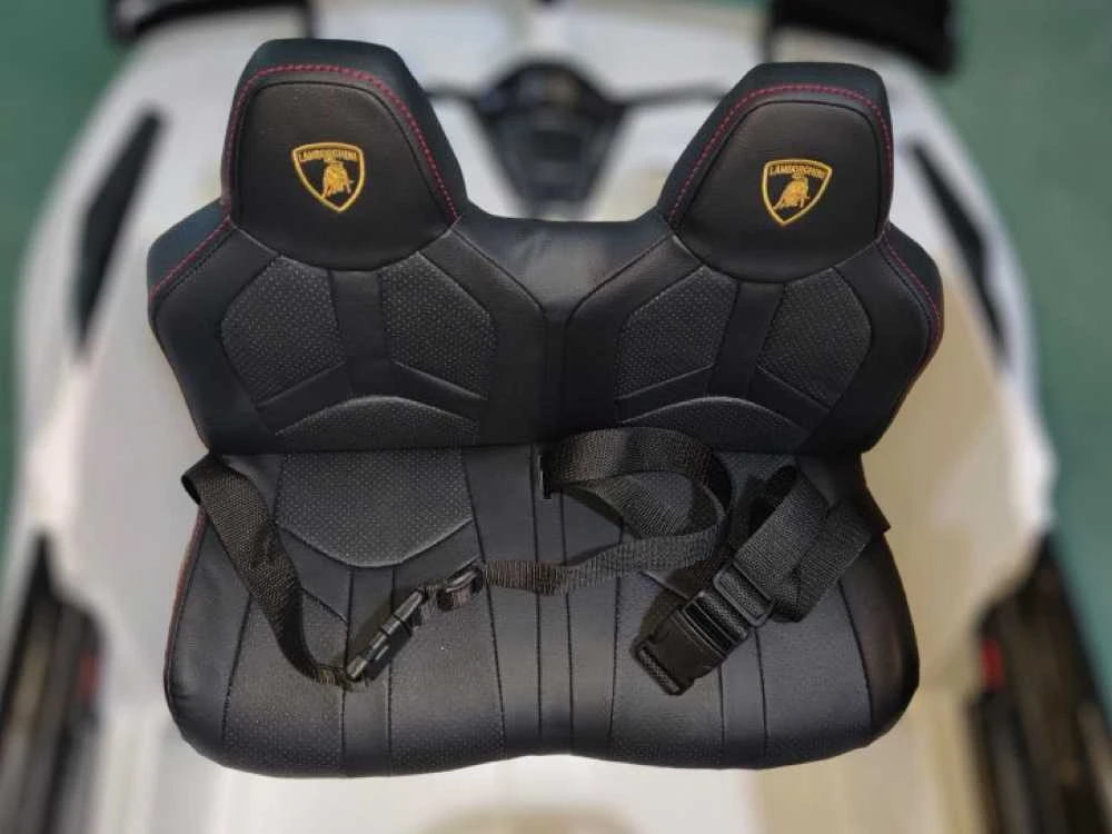 Toycars Vaikų akumuliatorinė mašina, Lamborghini Aventador, 2 asmenys