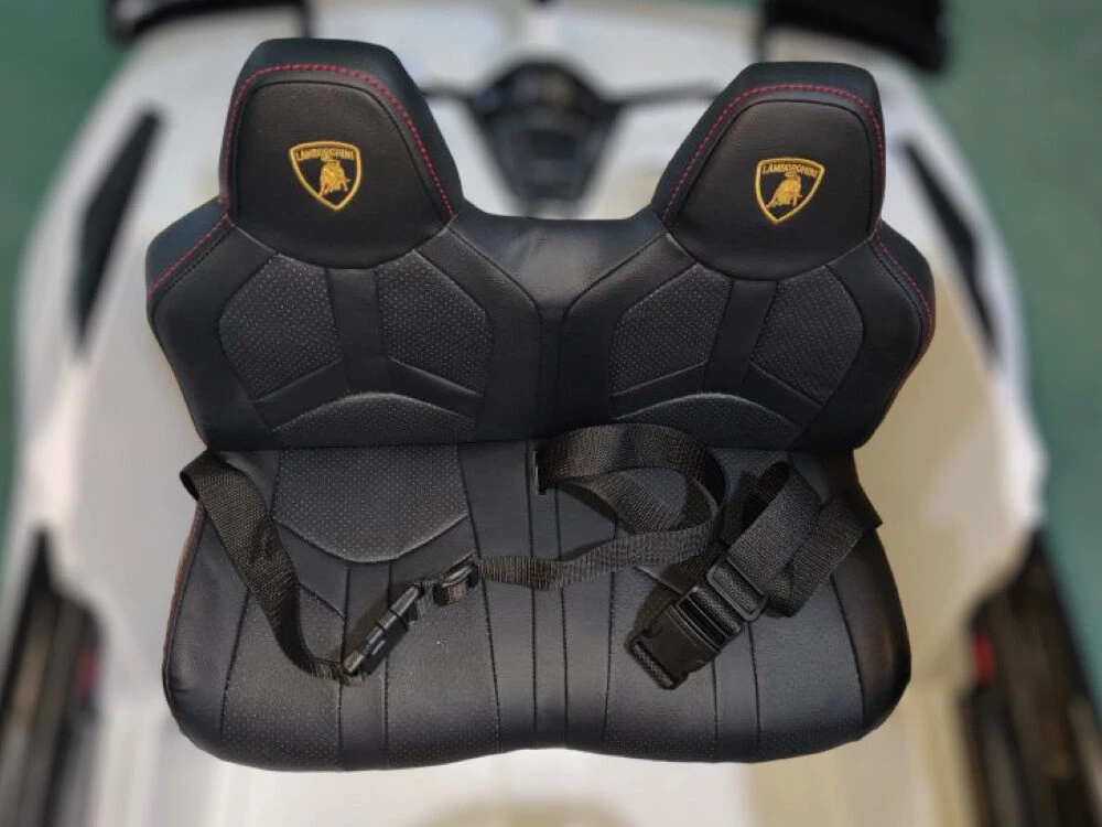Toycars Vaikų akumuliatorinė mašina, Lamborghini Aventador, 2 asmenys