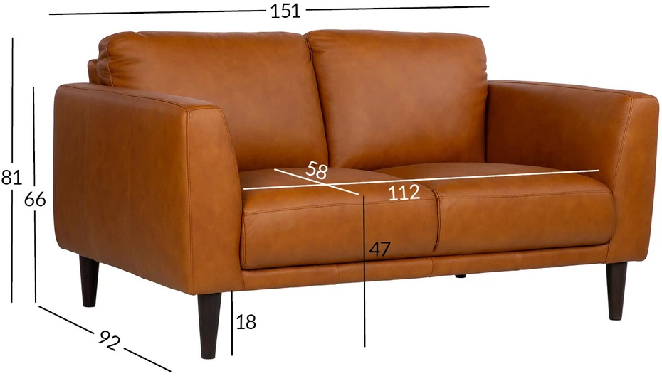Home4You Dvivietė sofa „HAVANNA“, konjako rudos spalvos