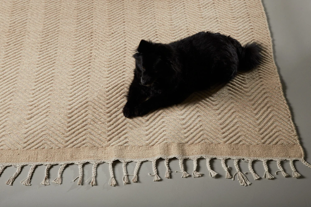 Venture Design Kilimas, Loke vilna/medvilnės mišinys, 230x160 cm, Bėžinis