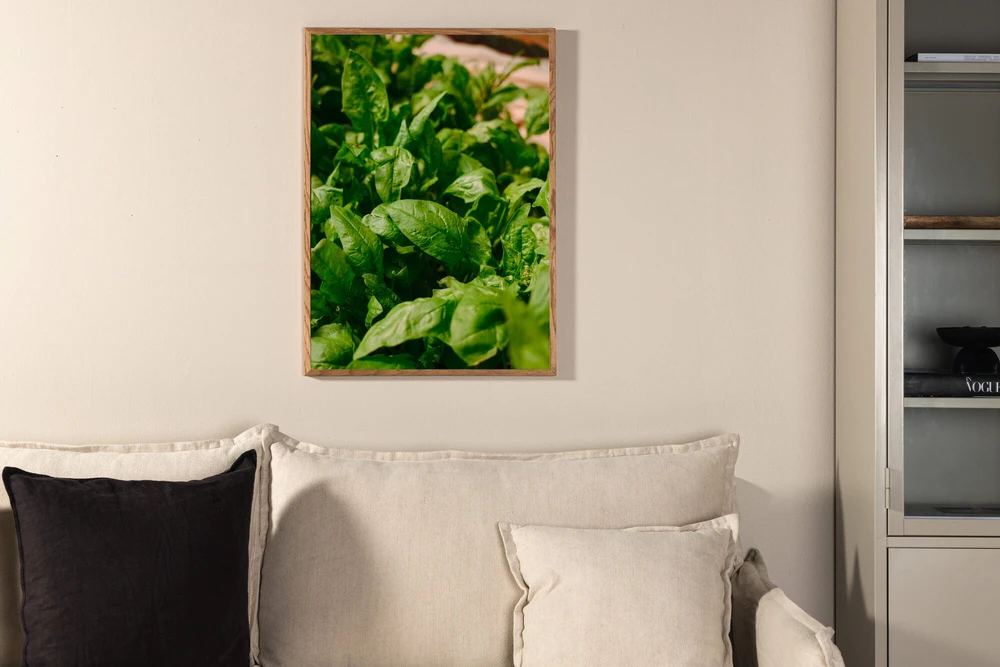 Venture Design Plakatas, žalias lapas, 70x100 cm, žalias