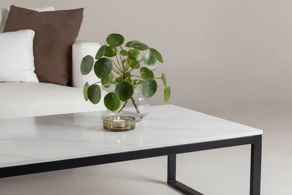 Venture Design Sofa staliukas Estelle 120x60x36 cm, juodas su balto marmuro imitacija
