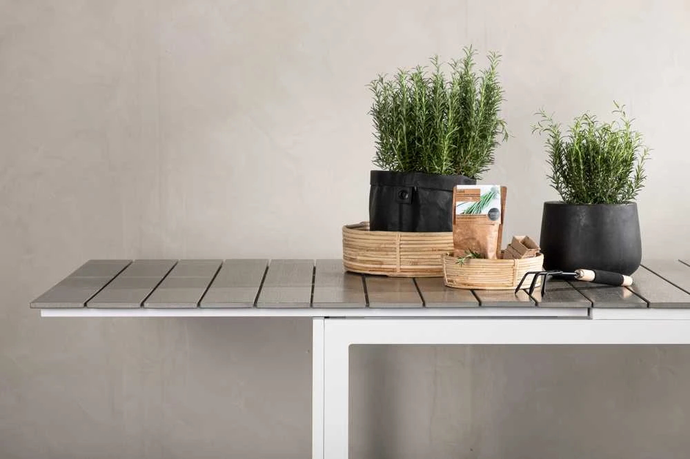 Venture Design Valgomasis stalas, Lygiai, 75x229x100 cm, Baltas