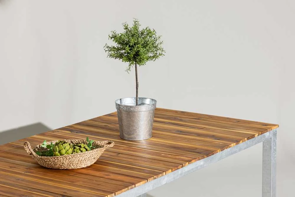 Venture Design Valgomasis stalas, Zenia, 200x100 cm, Natūralus