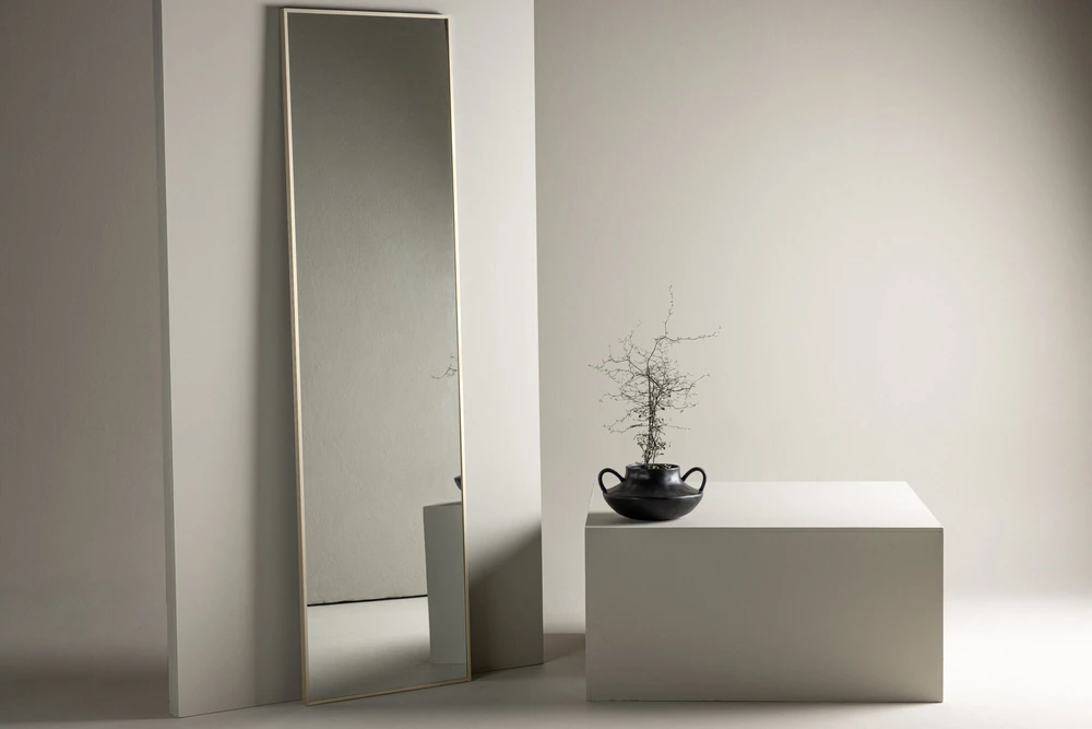 Venture Design Veidrodis, Orlando, 55x195 cm, Bėžis