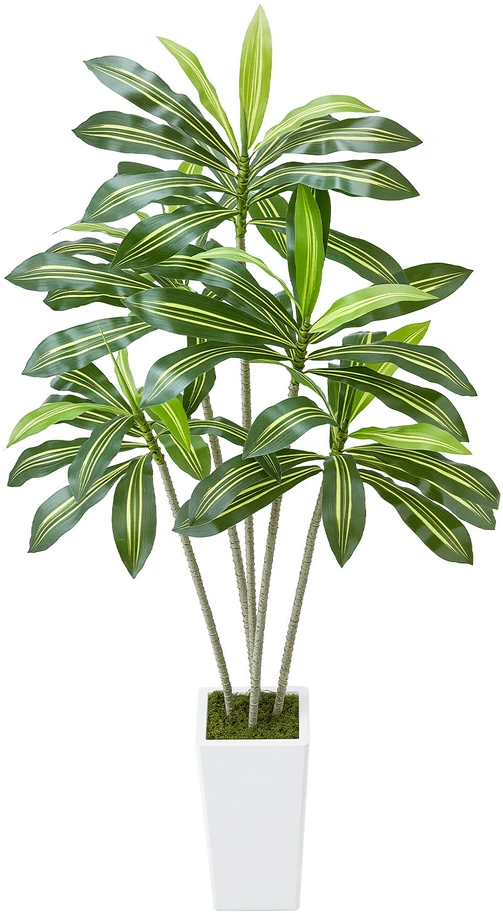 VEVOR Dirbtinė Dracena su baltu vazonu