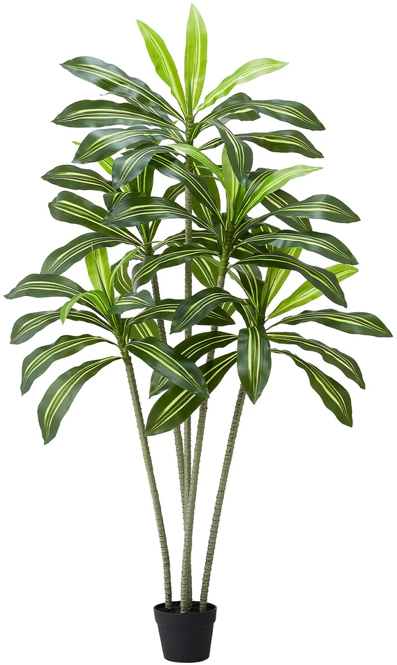 VEVOR Dirbtinė Dracena su baltu vazonu