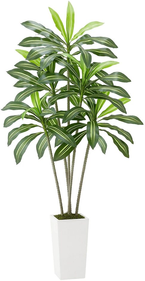 VEVOR Dirbtinė Dracena su baltu vazonu