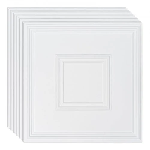 VEVOR 12 vnt. PVC lubų plokštės 61x61 cm